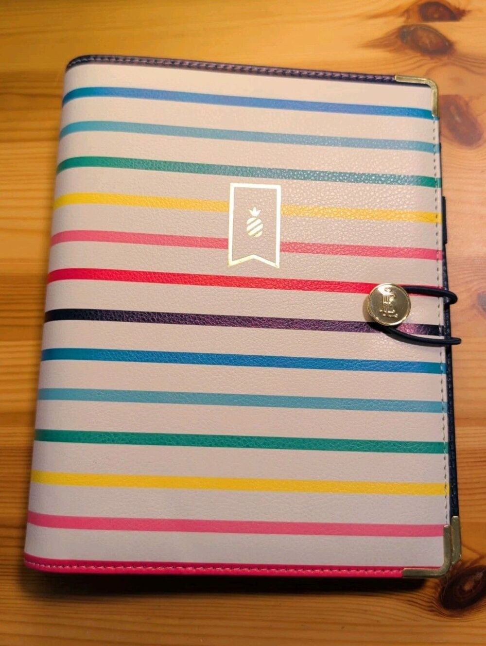 At-A-Glance Emily Ley Simplified Planner Organizer Rainbow Striped 7-Ring Binder